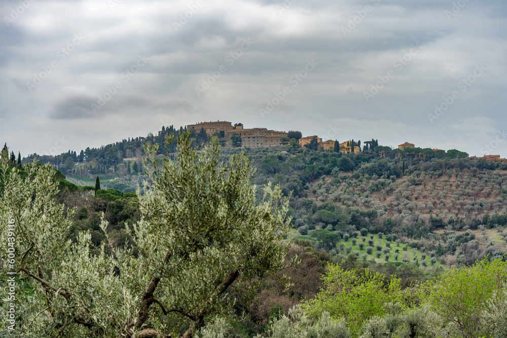 Landscape in the Tuscan countryside in the background the village of Castagneto Carducci Tuscany Italy