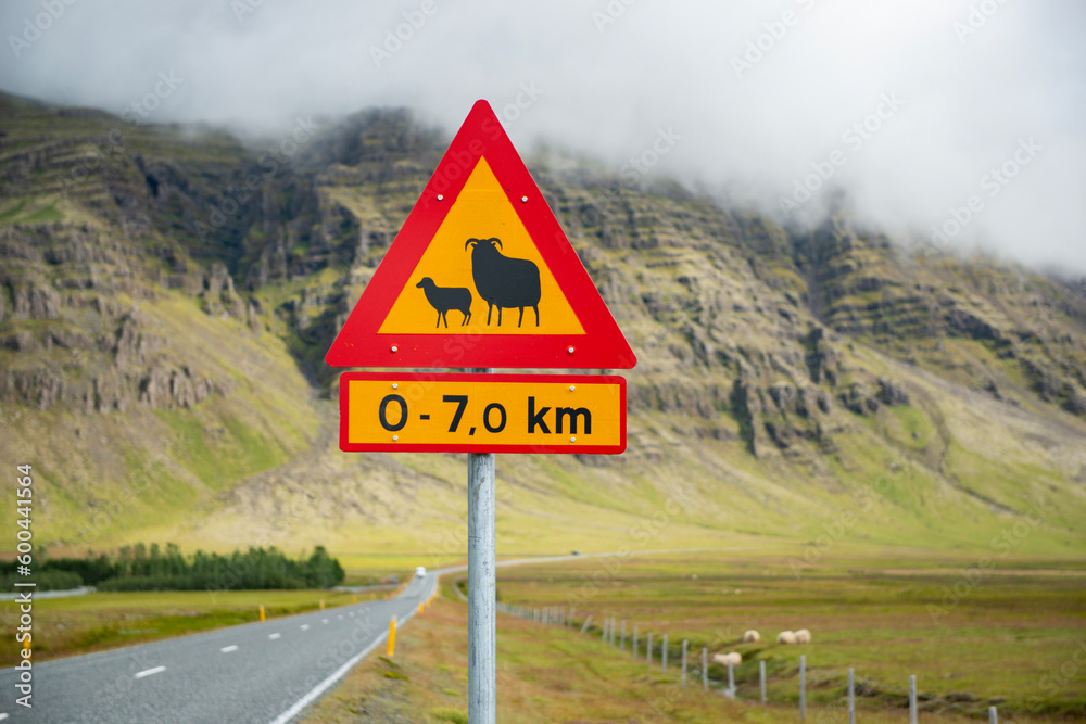 Sheep sign in an Iceland landscape.