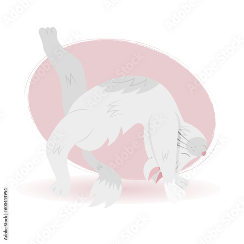 Cat yoga. Various yoga poses  asanas and exercises. White cat is doing yoga. Vector illustration.
