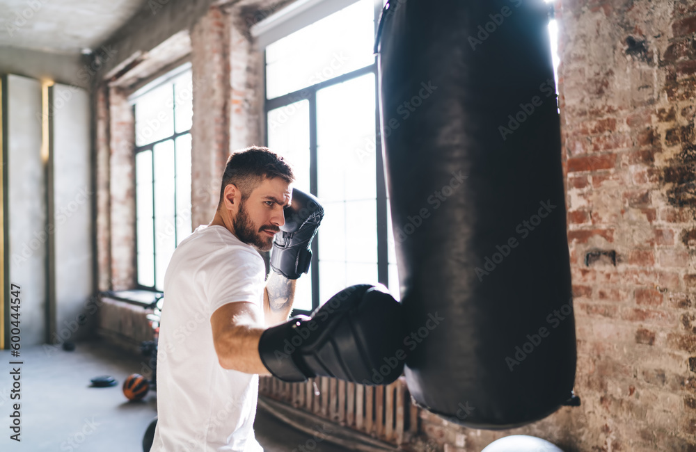 Focused boxer punching bag with boxing gloves in sunlit gym