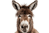 Close-up of a Donkey's Face on Transparent Background, Generative Ai