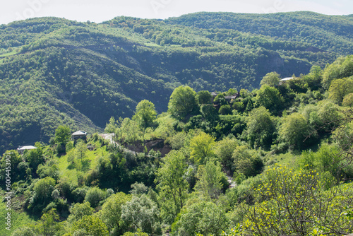 Green fields and mountains. Beautiful landscape with mountains and green forests