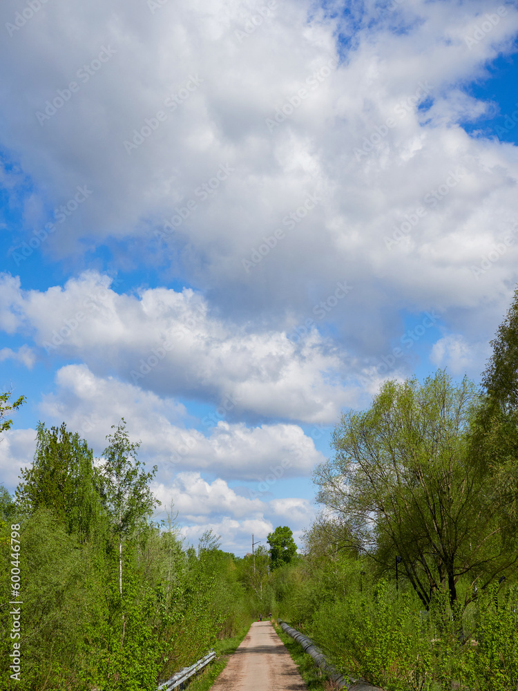 Obraz premium Blue sky with white fluffy clouds