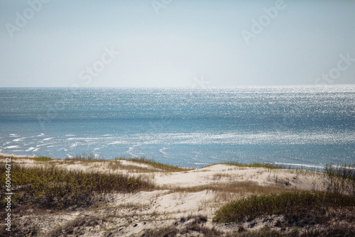 seashore with sandy beach on a sunny day