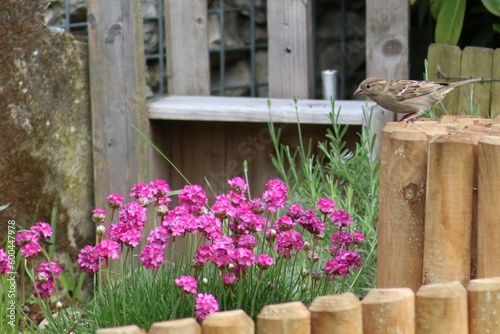 Natur, Tiere, Pflanzen