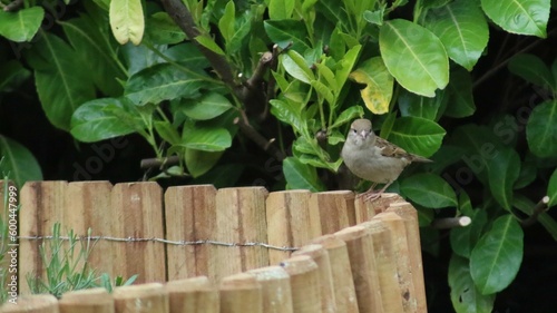 Natur, Tiere, Pflanzen