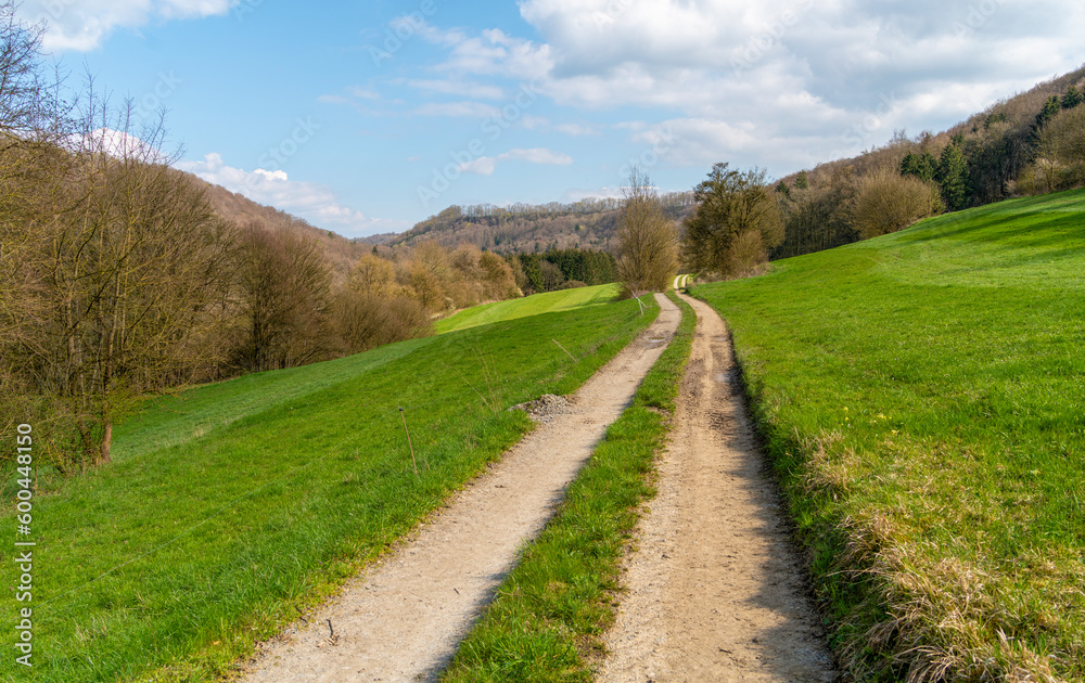 Idyllic spring time scenery