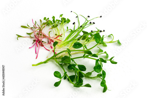 Green pea, beet, mustard, radish and chives onion microgreen on white background. Mix of micro green shoots. Healthy food concept