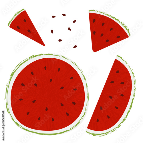 Watermelon slice seed. Summer fruits textured. Hand drawn organic vector illustration