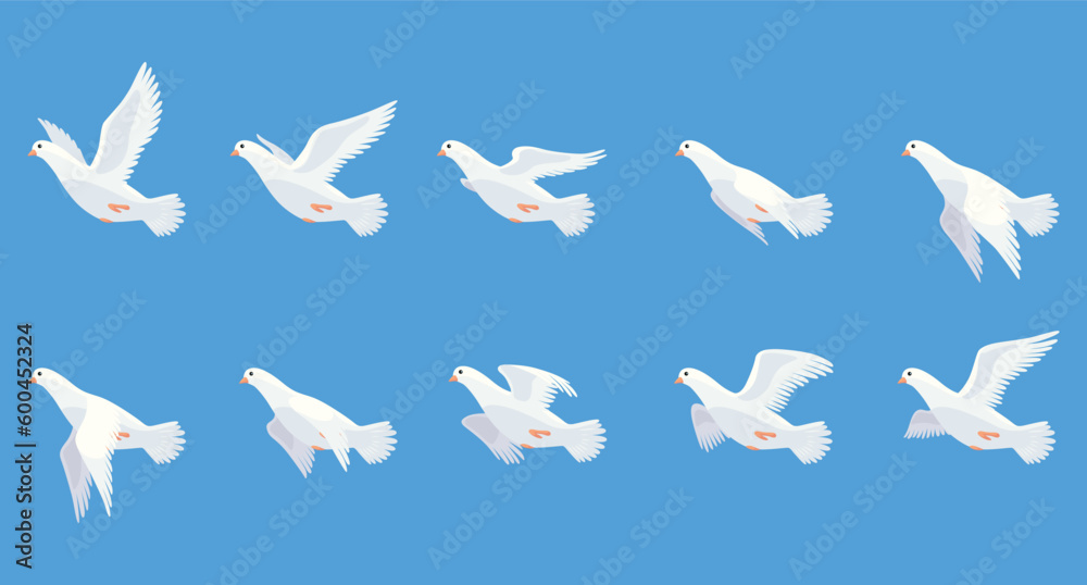 Pigeon animation. Bird motion wings in heaven. Flying migratory pigeon