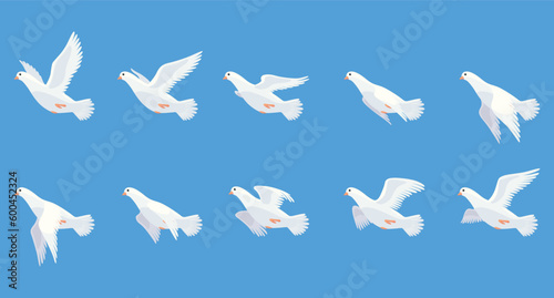 Pigeon animation. Bird motion wings in heaven. Flying migratory pigeon, cartoon vector illustration. Bird dove animation element. White pigeon flight sequences