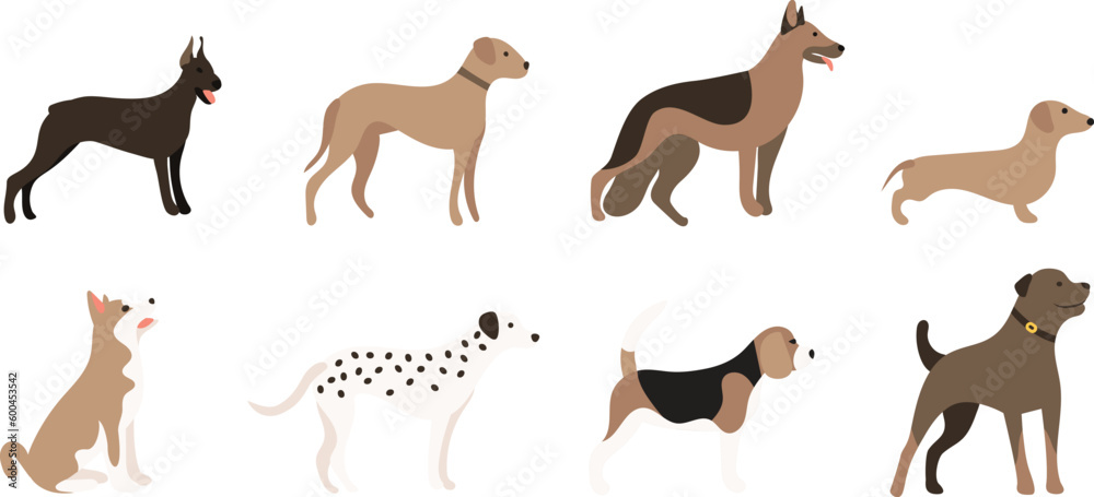 doberman, ridgeback, shepherd, dachshund, akita, shiba, dalmatian, beagle, rottweiler dogs on transparent background. cute, sweet puppy, pet. vector, image, clip art, elements. isolated profile dogs doberman, ridgeback, shepherd, dachshund, akita, shiba, dalmatian, beagle, rottweiler dogs on transparent background. cute, sweet puppy, pet. vector, image, clip art, elements. isolated profile dogs