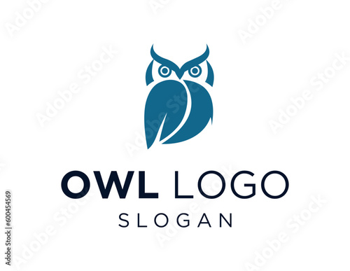 Logo design about Owl on a white background. created using the CorelDraw application.