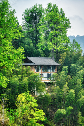 a house in the green forest © imphilip