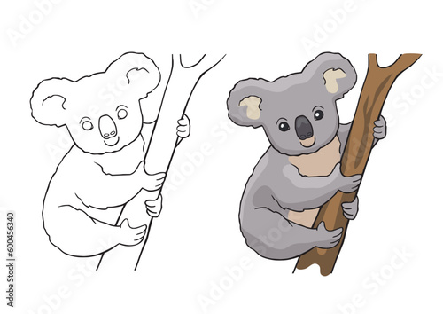 Coloring page with cartoon line koala. Children education activity page. Paint coloring book. Vector drawing worksheet with cute animals.