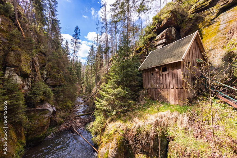 Wanderung am Fluss durch die Schlucht im Wald