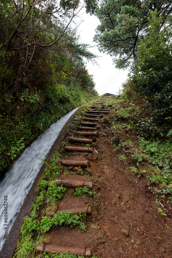 Portugal - Madeira - Achadas da Cruz - Levada do Moinho Portugal - Madeira - Achadas da Cruz - Levada do Moinho