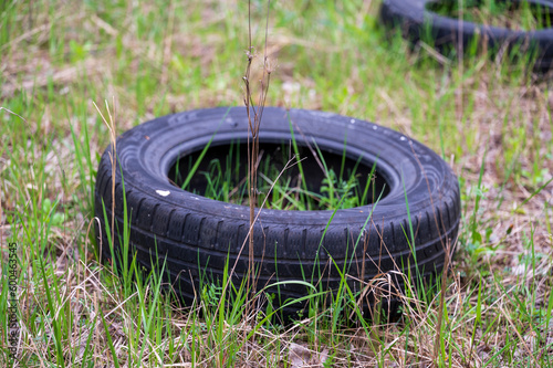 Car tires are thrown in the grass