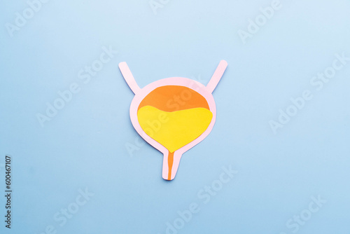 Bladder organ shape made from paper on light blue background. Awareness of bladder cancer, urinary tract infection, urinary incontinence and overactive bladder.