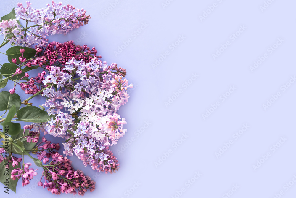 Macro image of spring lilac purple flowers, abstract soft floral background