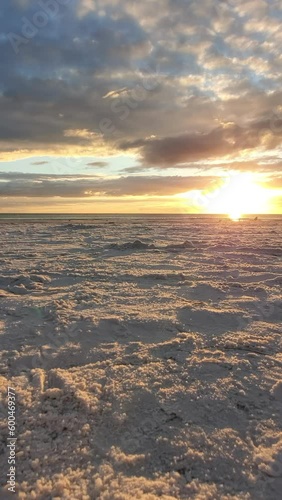 birds fly at sunset at beach vertical slow motion 60fps