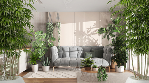 Zen interior with potted bamboo plant  natural interior design concept  living room and kitchen with island and chairs  sofa carpet  urban jungle  interior design idea