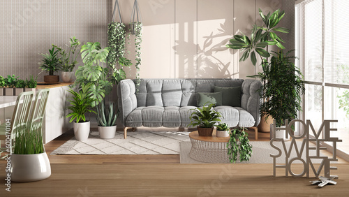 Wooden table, desk or shelf with potted grass plant, house keys and 3D letters home sweet home, over dining and living room, architecture interior design, urban jungle