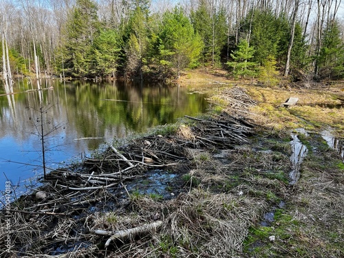 Beaver Dam on the Ice Age Trail
