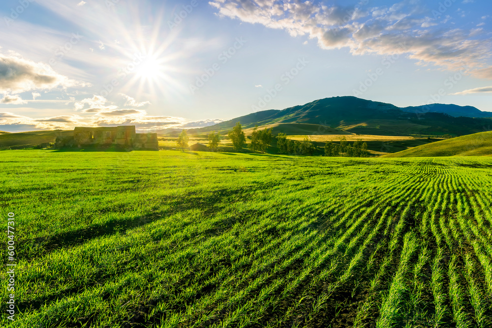 Scenic view at beautiful spring sunset in a green shiny field with green grass and golden sun rays, deep blue cloudy sky on a background , forest and country road, summer valley landscape