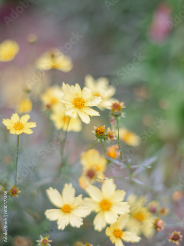 Candid lifestyle portraiture 