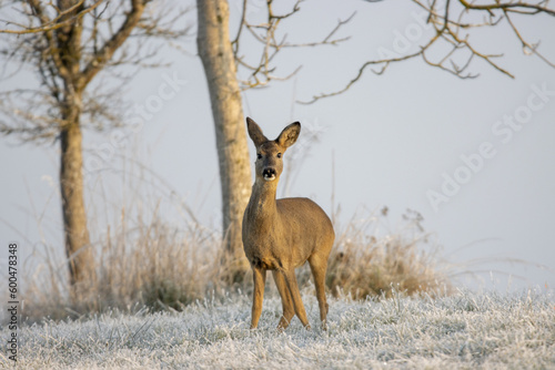 Rencontre dans le froid