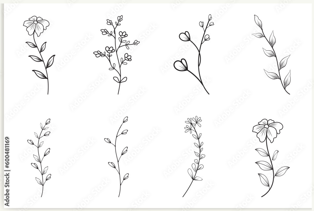 Set of vector vintage floral elements.Hand-drawn cute line art. Elements flowers, branches, swashes, and flourishes