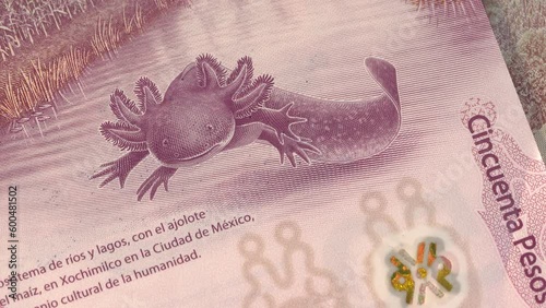 Mexican Peso 50 Banknotes Mexican Axolotl