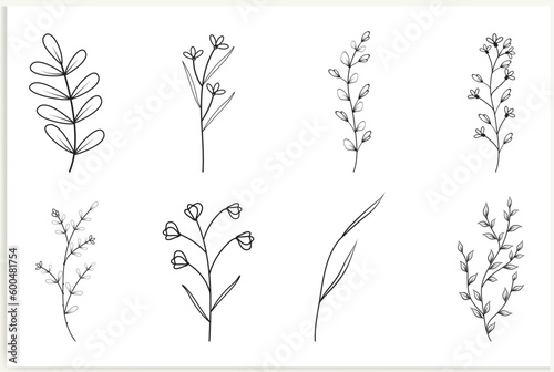Set of vector vintage floral elements.Hand-drawn cute line art. Elements flowers  branches  swashes  and flourishes
