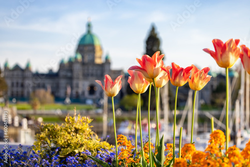 Fotografia Legislative Assembly of British Columbia in the Capital City during a sunny day