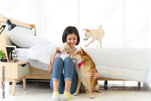 Young Asian woman playing with three dogs (brown shiba inu, white shiba puppy and white maltese)in bedroom. Cheerful and nice couple with people and pet. Pet Lover concept.