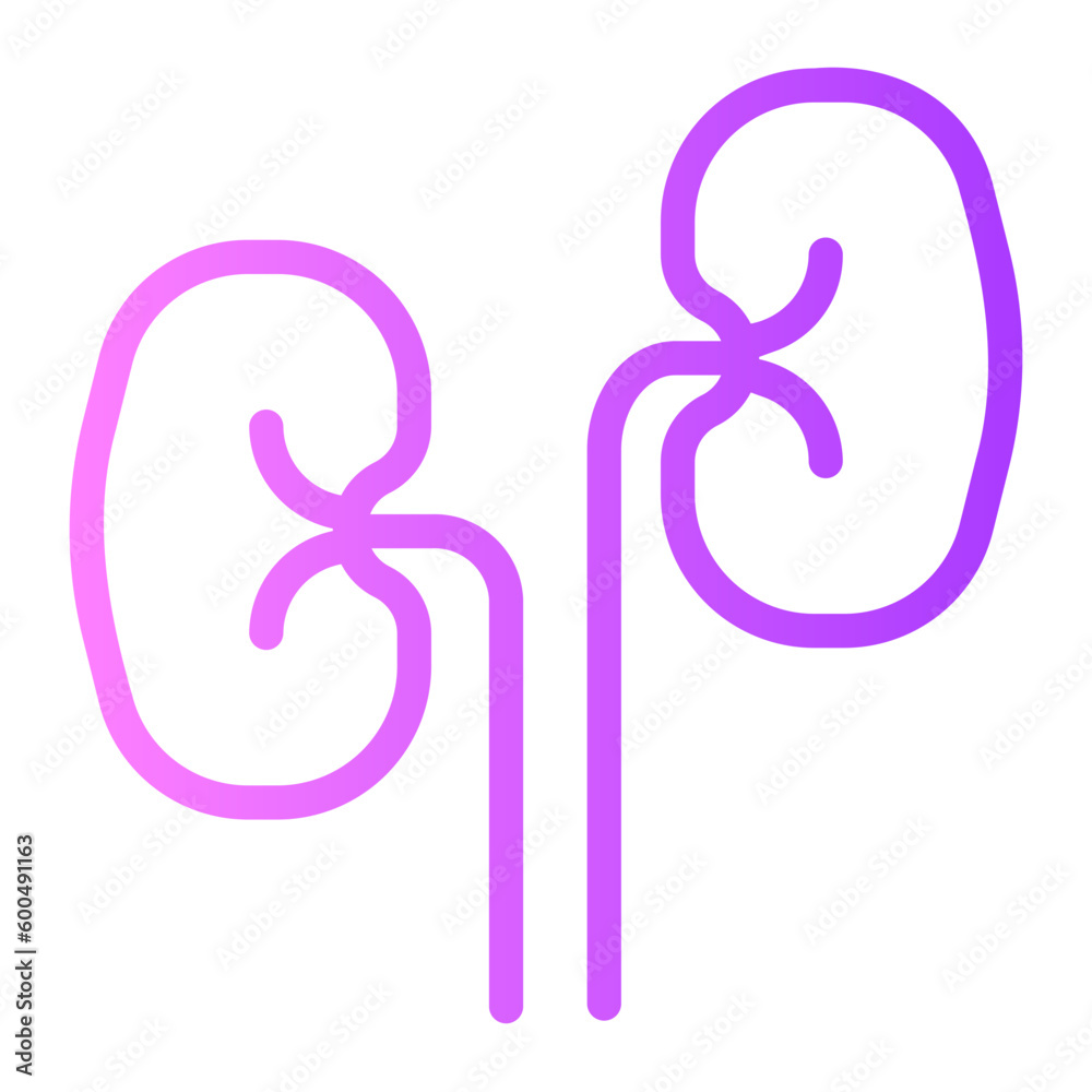 Obraz premium kidneys gradient icon