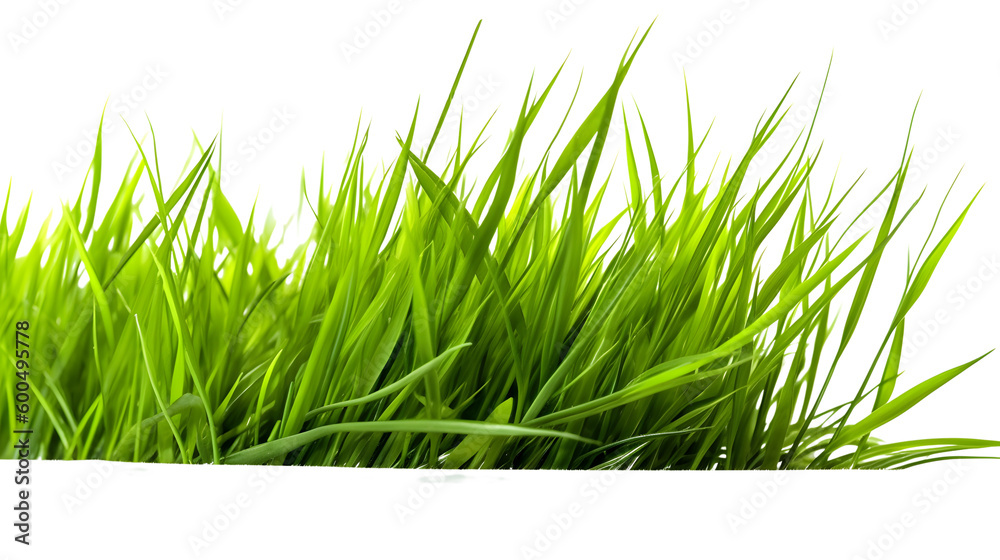 Obraz premium Grass on transparent background png Generative AI