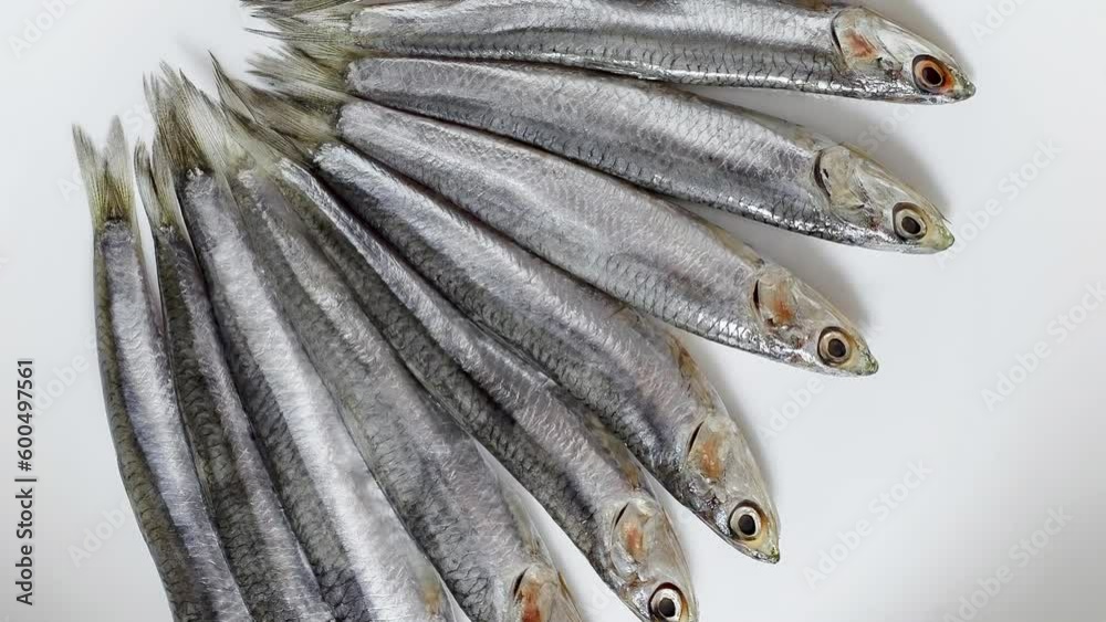 Anchovy fish on white plate rotating, turning, close-up macro, top view
Anchovy fish on white plate rotating, turning, close-up macro, top view