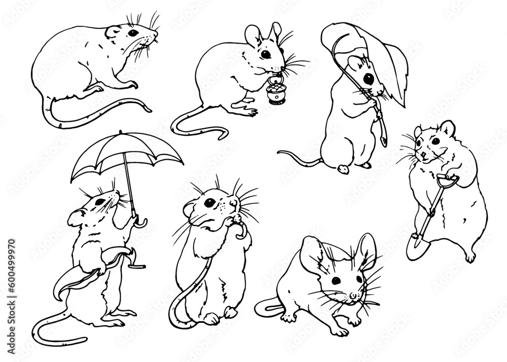 Mice vector illustration set. Graphic line drawing. For printing coloring books, on children's products, on clothes, dishes, posters and other printing. Freehand drawing. Image of animals. Vector