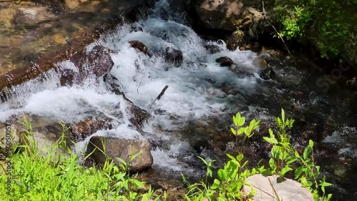 panning footage of a flowing river surrounded by rocks and lush green trees and plants at Amicalola Falls State Park in Dawsonville Georgia USA photo