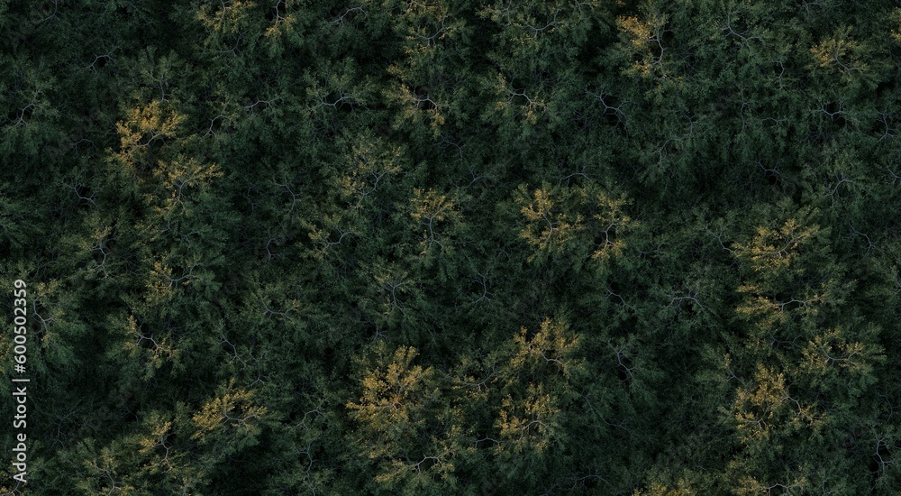 trees in the forest, top view, area view, isolated on white background, 3D illustration, cg render trees in the forest, top view, area view, isolated on white background, 3D illustration, cg render