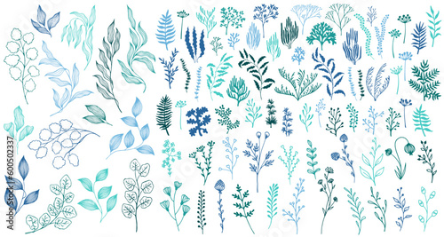 Meadow flowers, tree branches, algae water plants, corals isolated on white. Seaweeds polyps silhouettes set. Branches berries twigs flowers. Seaweeds coral reef underwater plans vector teal set.