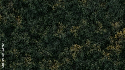 trees in the forest, top view, area view, isolated on white background, 3D illustration, cg render