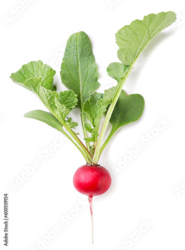 Ripe radish with leaves on a white background. Top view