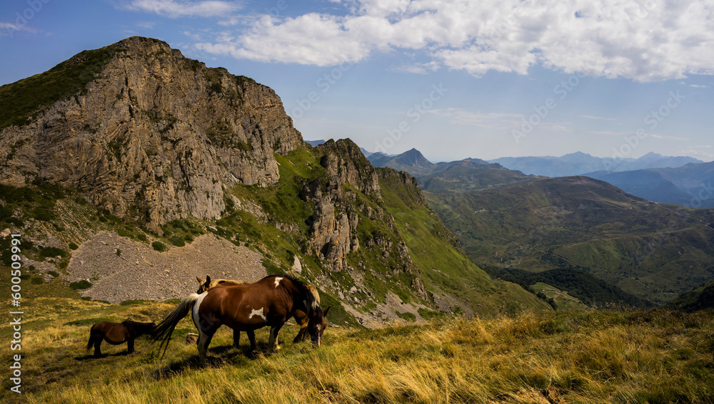 Fototapeta premium Landscape in Pyrenees close to Col du Galibier, France