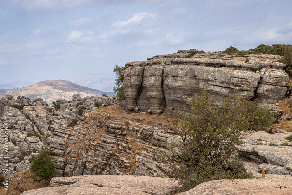 Beautifull exposure of the El Torcal de Antequera, wich is known for its unusual landforms, and is regarded as one of the most impressive karst landscapes in Europe located in Sierra del Torcal, Anteq Beautifull exposure of the El Torcal de Antequera, wich is known for its unusual landforms, and is regarded as one of the most impressive karst landscapes in Europe located in Sierra del Torcal, Anteq