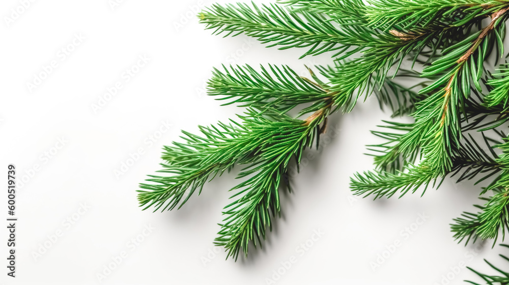 Christmas tree branches on a white background, generative AI.