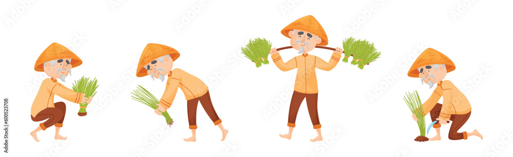 Asian Man Farmer in Straw Conical Hat Planting Rice Grass Vector Set