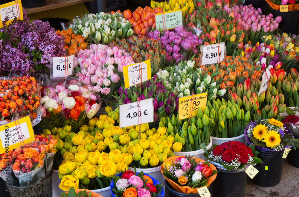 sale of blooming tulips at the street market
